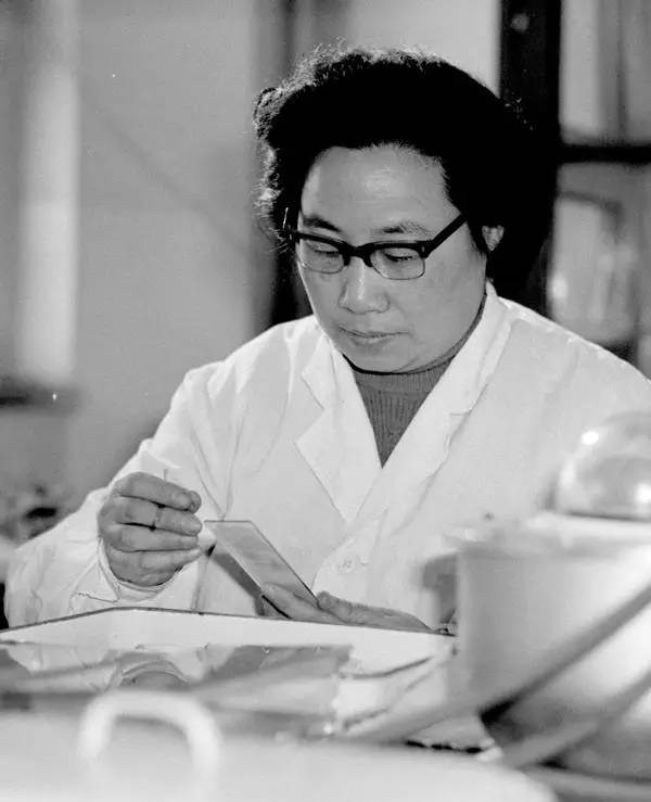 祝贺：中国女药学家屠呦呦获2015年诺贝尔生理学或医学奖！