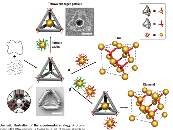 Science：纳米颗粒超晶格自组装！