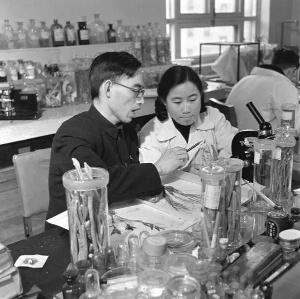 祝贺：中国女药学家屠呦呦获2015年诺贝尔生理学或医学奖！