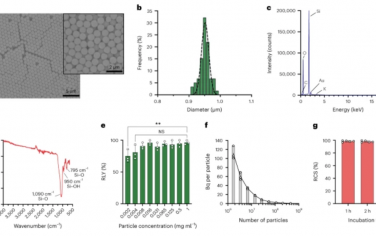 Nature Nanotechnology：体内实时正电子发射粒子追踪（PEPT）和单粒子PET