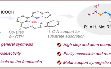 华南理工大学JACS：理性设计Co催化剂实现“还原-中断”串联反应合成氨基酸