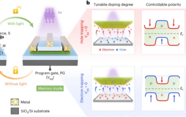 Nature Electronics：基于二维异质结构和光致陷阱的可重构晶体管和存储器