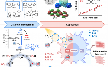 JACS：用于光催化 CO2 还原的共轭聚合物的合理设计：实现局部 CO 生成和巨噬细胞极化