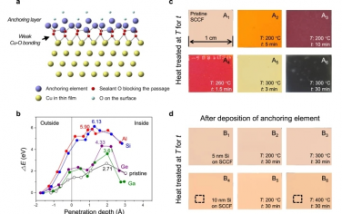 Nat Commun：一种抗高温氧化的非渗透性铜表面单层