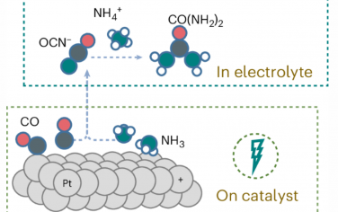 Nature Catalysis：Pt上CO与NH3电催化氧化偶联合成尿素