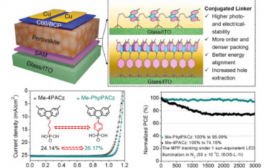 Joule：用于倒置钙钛矿太阳能电池的共轭连接体增强自组装单层分子