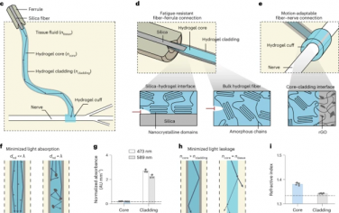 Nature Methods：抗疲劳水凝胶光纤实现运动过程中的外周神经光遗传学