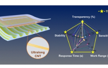 ACS Nano：高度透明且可转移的超长碳纳米管网络适用于透明可穿戴电子产品