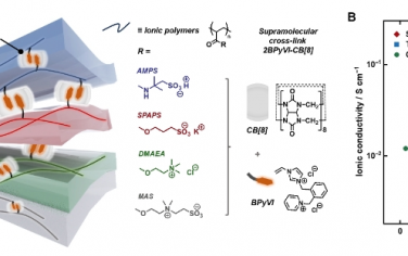 Science Advances：用于软质多层电子产品的高度可拉伸动态水凝胶