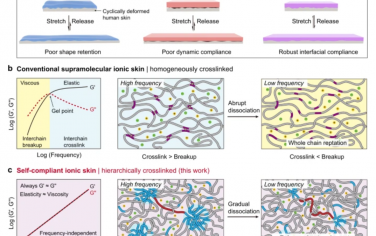 Nat. Commun.：通过利用分级氢键缔合的自适应离子皮肤
