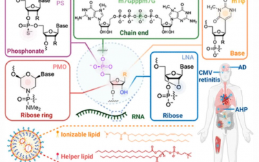 Chem. Rev.：用于RNA治疗的化学修饰平台