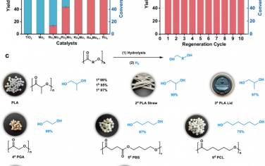 Nature Commun：RuMo双原子催化降解聚酯