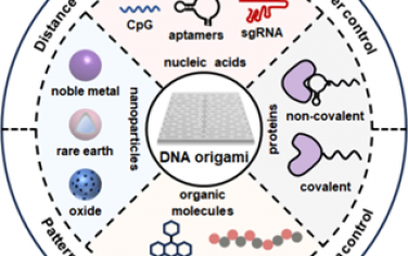 Nano Lett综述：基于DNA折纸的精确分子组装及其生物学应用