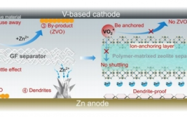 Angew：通过离子锚定沸石基隔膜防止耐用水系锌电池阴极活性材料溶解