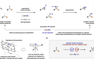 天津大学&南开大学Nature Commun：光驱动Fe催化亚砜的动力学拆分立体选择性胺化