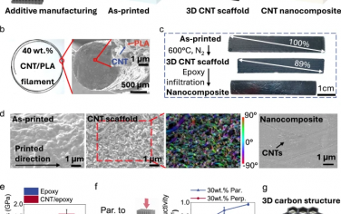 Nature Commun：CO2转化为3D打印碳材料