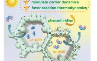 Angew：基于菲啶的共价有机框架可提高太阳能 H2O2 的总体产量