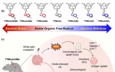 Chem. Sci：对稳定的有机自由基光敏剂进行微调以用于光动力免疫治疗