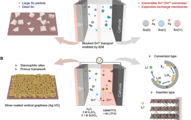 南洋理工大学Joule：电极和电解液双重设计构筑高性能Sn金属电池