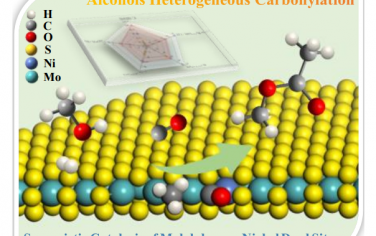 大连化物所&南大Angew：MoS2的Mo-Ni双位点有机醇羰基化