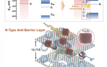 AEM：合理构建具有n型反势垒层的异质结构以增强电化学储能