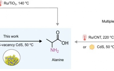 新加坡国立Nature Commun：缺陷化CdS光催化聚乳酸合成丙氨酸