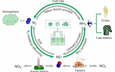 Nature Energy：铜锡合金催化一氧化氮电化学合成氨