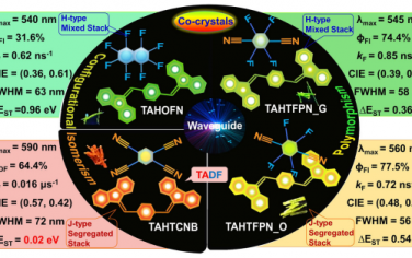 Nat Commun:高效颜色可调谐有机共晶体揭示多态、异构性、延迟荧光用于光波导和细胞成像