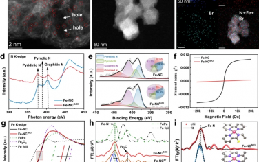 厦门大学孙世刚院士团队Nature Commun：溴离子增强Fe-NC电催化的燃料电池性能