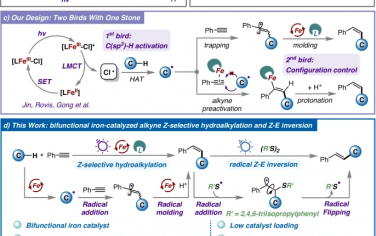 Nature Commun：Fe-光催化协同得到非热力学优势构象烯烃