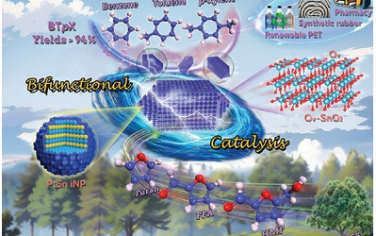 华南理工大学Adv Mater：Pt1Sn1-SnO2将呋喃高效转化为苯、甲苯、二甲苯
