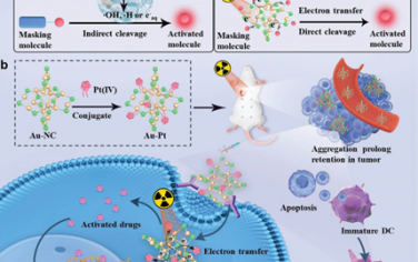 Adv. Mater：金纳米簇可作为光电转换器以实现X射线激活的化疗