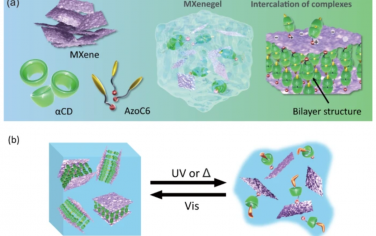 Nat. Commun.：通过界面主-客体超分子桥联的光响应MXene凝胶