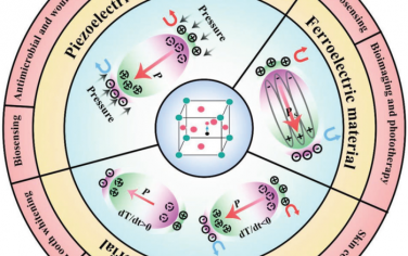 Adv. Mater综述：压电，热电和铁电生物材料的生物医学应用