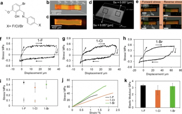 Nature Communications：可空间控制和机械切换的同构有机铁弹性晶体光学波导与网络