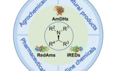 Chem. Soc. Rev.：NAD(P)H-依赖性酶的生物催化还原胺化