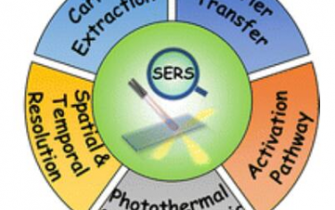 Chem. Soc. Rev.：SERS监测光催化反应的研究进展