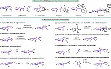 Nature Communications：催化对映选择性硝酮环加成反应实现吲哚生物碱的集体合成