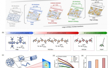 EES：调节高效和热稳定聚合物太阳能电池的溶液聚集和分子顺序