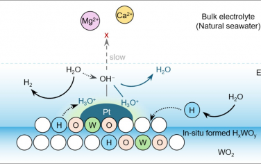 乔世璋等JACS：构筑局部酸性环境促进电解海水