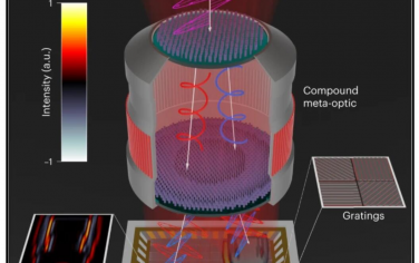 Nature Nanotechnology：用于加速机器视觉的多通道元成像器