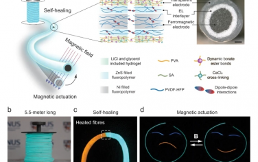 Nat Commun：自修复可驱动电致发光纤维
