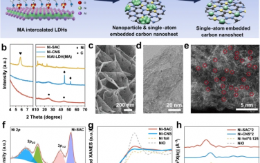 北京化工大学Nature Commun：有机氧化耦合ORR电化学制备H2O2