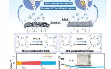AM：金属有机骨架玻璃中间层的适应性结构使水性锌离子电池具有优异性能
