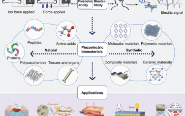 Adv. Mater综述：仿生压电生物材料在生物医学和纳米技术中的应用