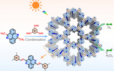 上海交大Angew：烯烃连接PAH光催化合成H2O2
