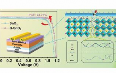 AM：用于增强钙钛矿太阳能电池性能和有效捕获铅的链缠结凝胶SnO₂电子传输层