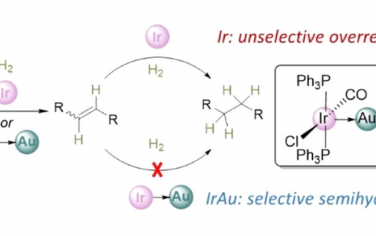 JACS：通过钝化作用促进双金属催化剂选择性炔烃半加氢