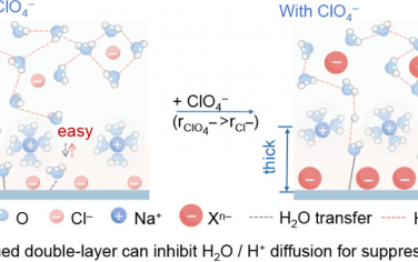 天津大学JACS：阴离子导致阳极双电层变宽增强氯电催化反应效率