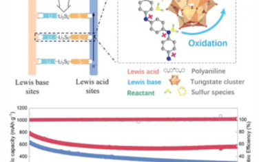 AEM：用于锂硫电池中硫循环转化的路易斯酸-路易斯碱杂化电催化剂